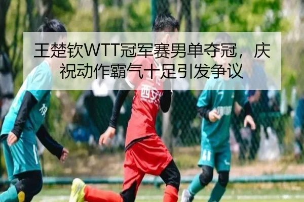 王楚钦WTT冠军赛男单夺冠，庆祝动作霸气十足引发争议