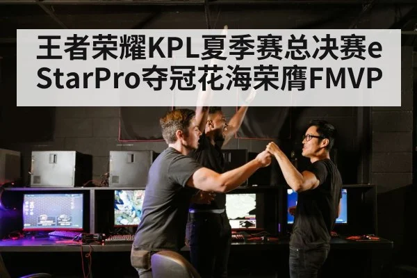 王者荣耀KPL夏季赛总决赛eStarPro夺冠花海荣膺FMVP